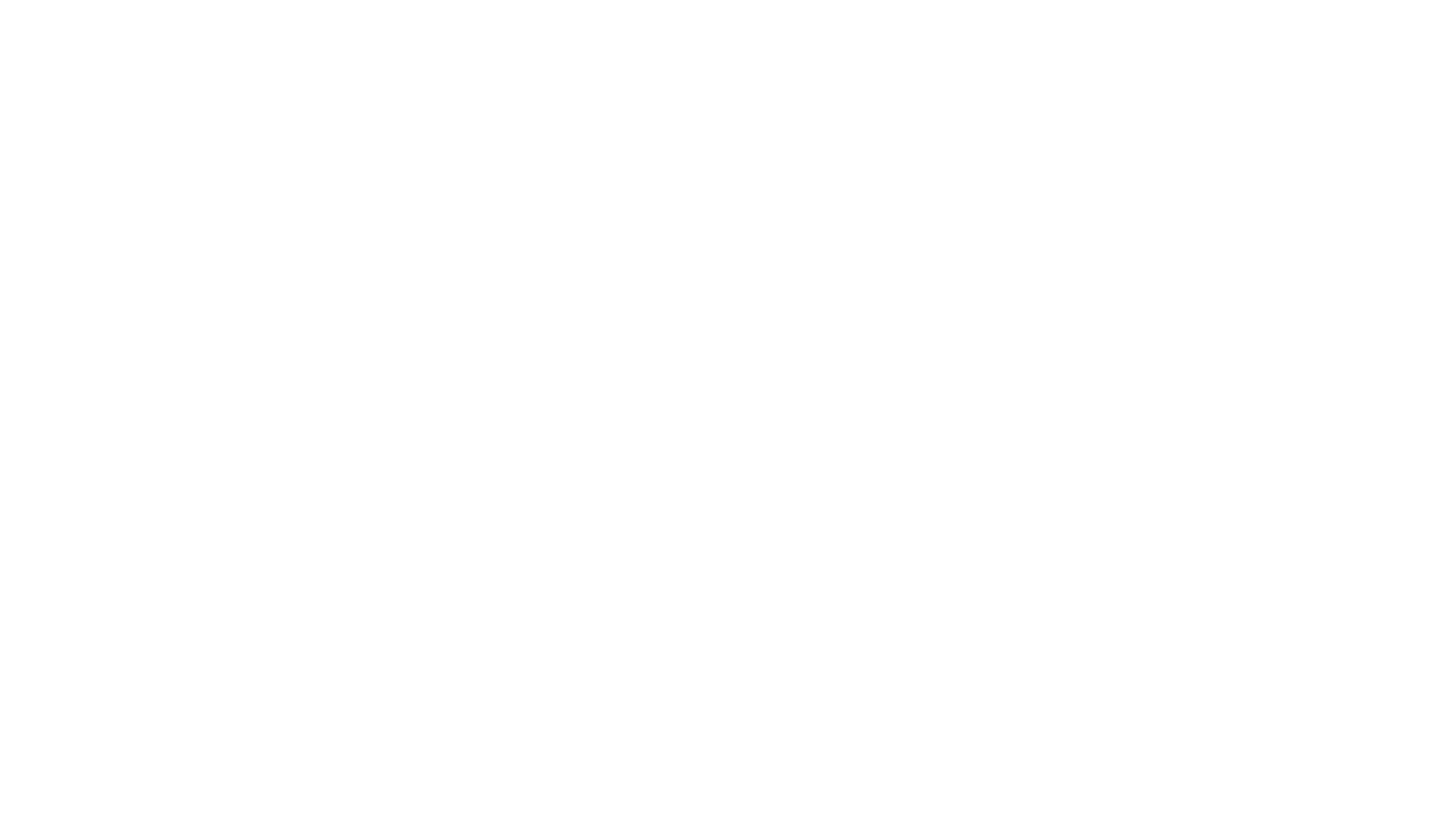 Black noise logo